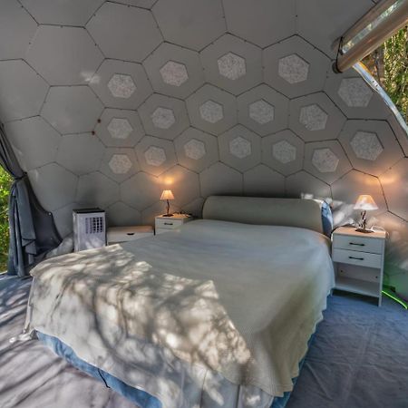 Aldo Countryside Bed & Breakfast Arzachena Dış mekan fotoğraf