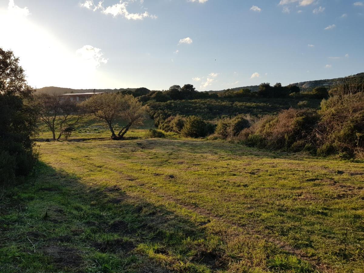 Aldo Countryside Bed & Breakfast Arzachena Dış mekan fotoğraf