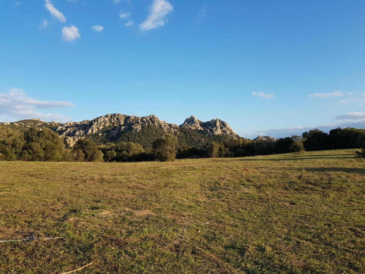 Aldo Countryside Bed & Breakfast Arzachena Dış mekan fotoğraf
